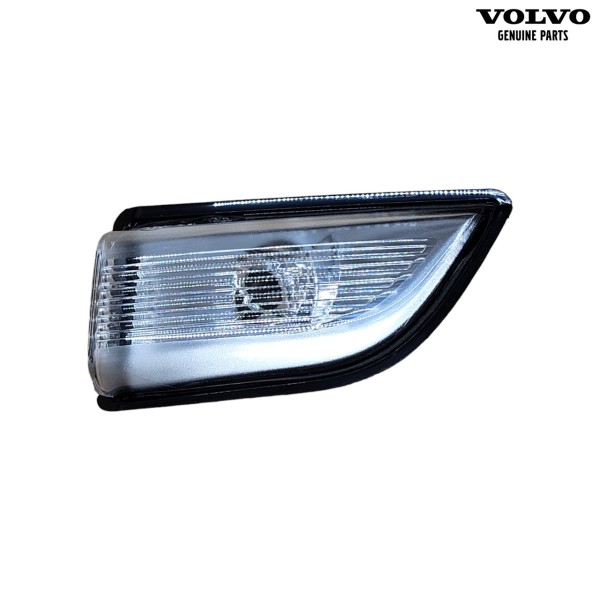 Original Volvo XC60 (2009-2013) Blinkleuchte Außenspiegel links 31217288 - Vorderseite